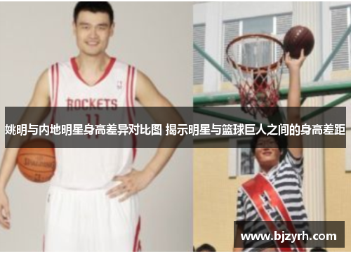 姚明与内地明星身高差异对比图 揭示明星与篮球巨人之间的身高差距