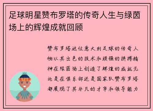 足球明星赞布罗塔的传奇人生与绿茵场上的辉煌成就回顾
