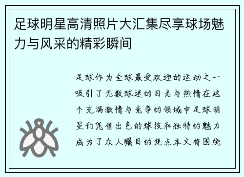 足球明星高清照片大汇集尽享球场魅力与风采的精彩瞬间